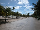 Enlarge photo 83