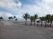 Enlarge photo 87