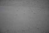 Enlarge photo 44