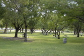 Enlarge photo 137