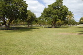 Enlarge photo 138