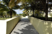 Enlarge photo 139