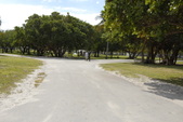 Enlarge photo 146
