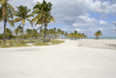 Enlarge photo 149
