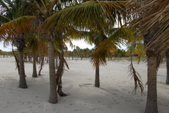 Enlarge photo 157