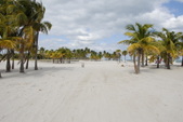 Enlarge photo 122