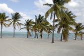 Enlarge photo 165