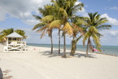 Enlarge photo 131