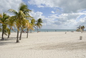 Enlarge photo 169