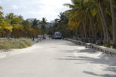 Enlarge photo 171