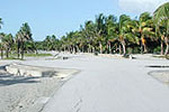 Enlarge photo 63
