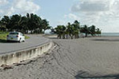 Enlarge photo 57