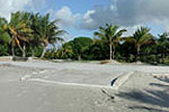 Enlarge photo 58