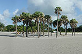Enlarge photo 59