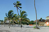 Enlarge photo 60