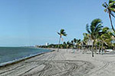 Enlarge photo 61