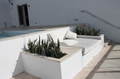 Enlarge photo 41