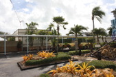 Enlarge photo 31