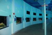 Enlarge photo 39