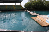Enlarge photo 54