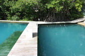 Enlarge photo 62