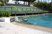 Enlarge photo 71
