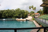 Enlarge photo 80