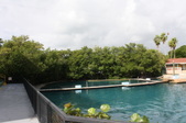 Enlarge photo 81