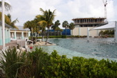 Enlarge photo 92