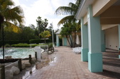 Enlarge photo 93