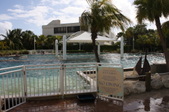 Enlarge photo 95