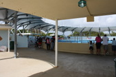 Enlarge photo 98