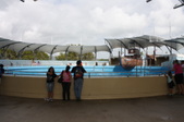 Enlarge photo 102