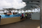 Enlarge photo 100