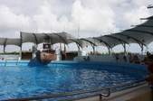 Enlarge photo 104