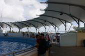 Enlarge photo 103