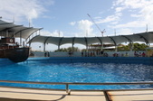 Enlarge photo 108