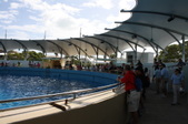 Enlarge photo 109