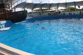 Enlarge photo 112