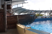 Enlarge photo 114