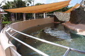 Enlarge photo 119