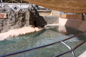 Enlarge photo 118