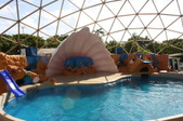 Enlarge photo 135