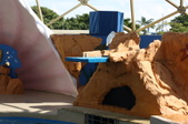Enlarge photo 138