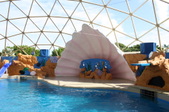 Enlarge photo 140