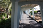 Enlarge photo 144