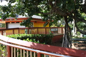 Enlarge photo 149