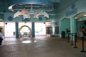 Enlarge photo 153