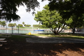 Enlarge photo 155