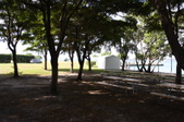 Enlarge photo 156